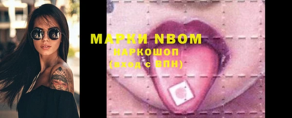 молекула духа Надым
