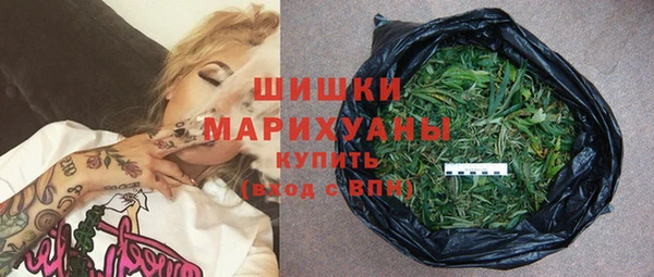 молекула духа Надым