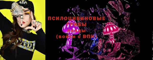 молекула духа Надым