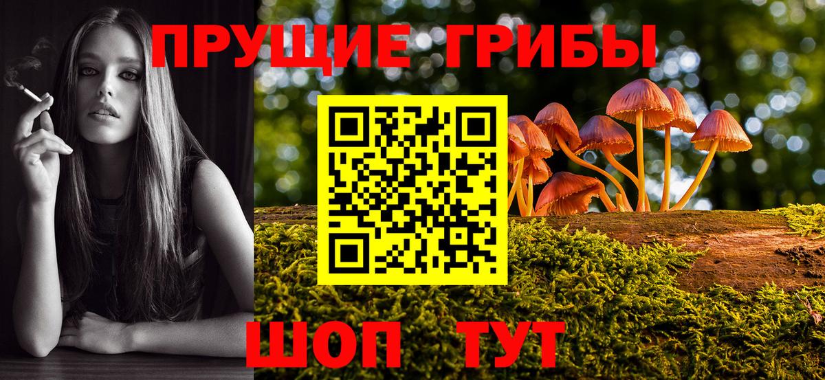 Псилоцибиновые грибы мухоморы  наркошоп  Феодосия  Вход с VPN 