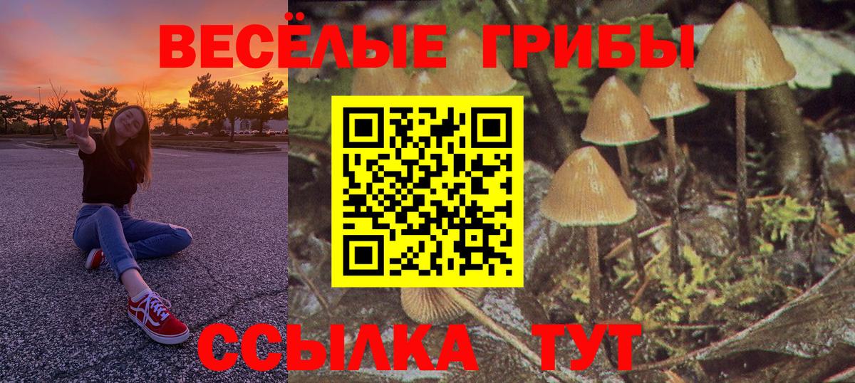 Alpha-PVP СК кристаллы  NBOMe  Феодосия  ГАШИШ  Вход с VPN  Мефедрон кристаллы  LSD-25 
